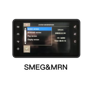 Mô-đun Đa Phương Tiện Không Dây Carplay Android Auto Cho Peugeot SMEG NAC 208 308 508 3008 Citroen C4 DS3 DS4 DS5 Có Camera