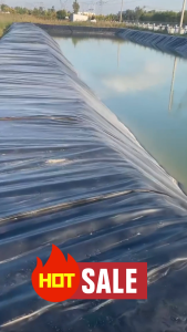 ผ้ายางปูบ่อปลา พลาสติกปูบ่อ 300/500ไมครอน 6x8m/8x10m/8x16m ผ้ายางปูบ่อ ปูบ่อน้ำ ปูบ่อปลา สระน้ำ พลาสติกโรงเรือน HDPE ไม่มีอันตรายต่อปลา จัดส่งภายใน 24 ชัวโมง