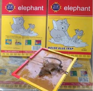 2pcs LEBIH MURAH - LEM TIKUS SUPER LENGKET DAN KUAT PRAKTIS SEKALI PAKAI HARGA EKONOMIS