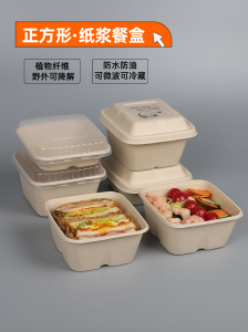 Commercial Disposable Biodegradable Sugarcane Pulp Lunch Box Eco-Friendly Takeaway Meal Package for Light Food And Desserts