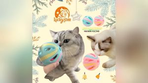 Bola Mainan Kucing Lonceng Bola Lonceng Hewan Peliharaan