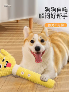 Interactive Dog Toy Self Entertaining Chew Proof Teeth Grinding Sound Making Palm Size for Bichon Corgi Pets Training