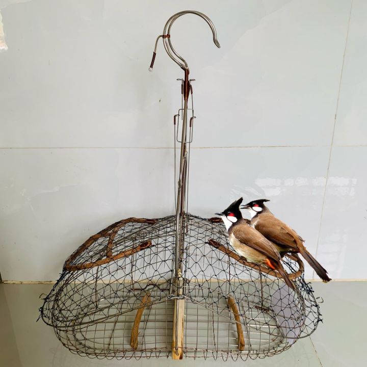 Lụp Chào Mào