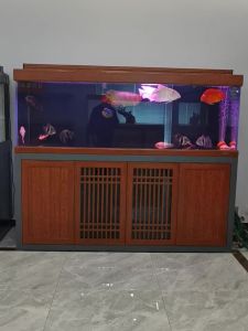 Large Ultra-clear Professional Screen Partition Aquarium Freshwater Fish Tank with Bottom Filtration System