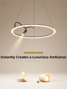 Creative Artistic Pendant Light