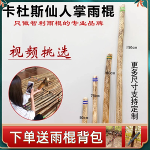 Kadus Rain Stick Cactus Rain Stick Yoga South America Chile HAILANG Sound Therapy Musical Instrument Rain Sound Device Rain Sound Tube