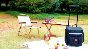 Rolling refrigerated truck 35L insulated refrigerated bag suitable for picnicking camping summer
