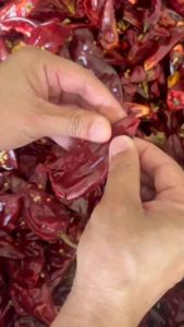 พริกหยวกคัดสวย พริกแห้ง เม็ดใหญ่ไม่เผ็ดเนื้อเยอะ พริกทำพริกแกง 1 kg.(หยวกโล)