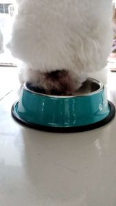 THỨC ĂN HẠT DÀNH CHO THÚ CƯNG  NGĂN NGỪA NƯỚC MẮT TỐT CHO XƯƠNG BỔ MẮT - NATURAL LAB CARE 1 JOIN & EYE 2KG