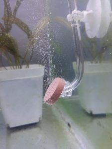 Super Mini Diffuser Co2 Aquascape
