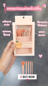 ASHLEY แอชลี่ย์ ชุดแปรงแต่งหน้า Peachy Brush Set พรีเมี่ยม 5 ชิ้น พร้อมกระเป๋า