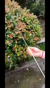 เครื่องพ่นยา อะไหล่หัวพ่นยา หัวพ่นยาทองเหลือง หัวฉีดยาทองเหลือง เกียวใน14mm