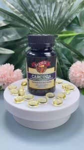 Garcinia Cambogia HCA Extract Supplements Weight Loss Fat Burning Helps Curb Appetite Antibacterial Effect