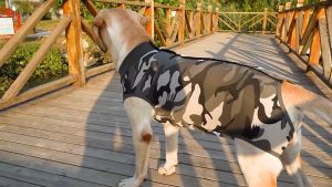 Áo chống liếm cho Chó lớn áo cai sữa màu rằn ri (đo kích thước trước khi chọn size) - Love Pets Shop