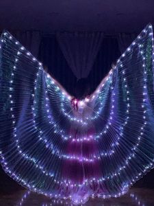 Adult LED Gold Wing with White Light Transparent Fluorescent Butterfly Stage Props Performance Glowing Fairy Bar Accessories