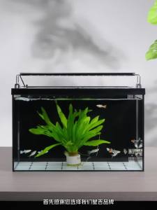 Fish Aquarium small fish tank fish tank set aquarium water tank aquarium tank fish tank full set desktop ultra-white glass back filter multifunctional 鱼缸