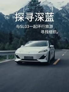 seek1 For Changan Deepal SL03 2022 2023 Matt Wood Grain ABS Center Console Armrest  Cover Gear Shift Panel  Sticker  2F9R8D