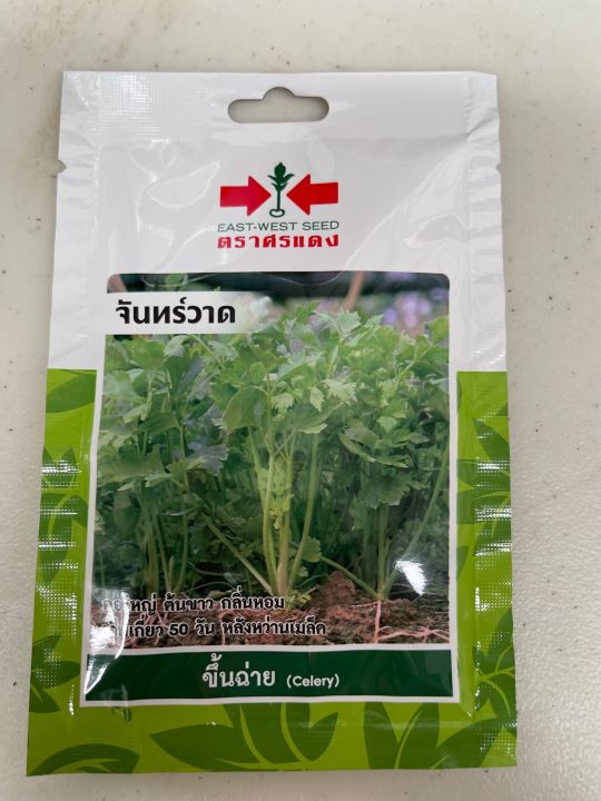 เมล็ดขึ้นฉ่าย ศรแดง ชนิดซอง คุณภาพดี