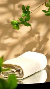 Khăn Mặt Salina 28x48cm Bamboo Kháng Khuẩn Thấm Hút Mềm Mịn Với Da Mặt Nhiều Màu SFT005