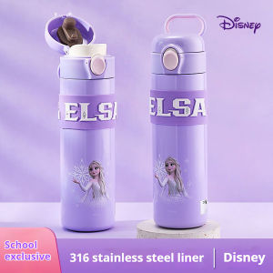 Disney Frozen Elsa and Strawberry Bear Insulated Water Bottles—Cute Leakproof and Portable Tumblers for Daily Use Travel