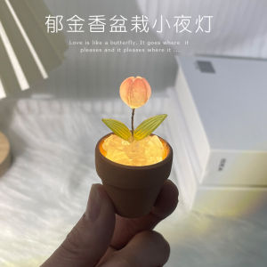 Mini DIY Tulip Planting Material Kit Night Light Flower Pot Bouquet Cube Handmade Birthday Gift Home Decorative LED Lamp