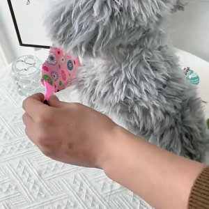 Yếm ăn yếm quàng cổ cho Chó Mèo có vòng cổ khoá nhựa (Link 2) - Hara Pet Store