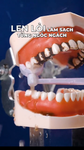 Máy tăm nước 2 chiều cầm tay NEVAKI C103 với 3 chế độ làm sạch răng hiệu quả với vòi phun 2 chiều xoay 360 độ