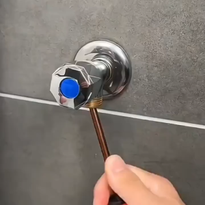 [SG Seller]Toilet Washing Toilet Angle Valve One-Switch Two-Way Universal Toilet Accessory Spray Gun One-Switch Two-Way Function