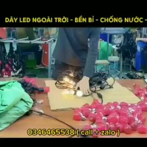 (BH 1 Năm) Dây Đèn 5M 10 Bóng 10M 20 Bóng Bóng 3W 5W 1W Nháy Đổi Màu RGB Dây Đèn Led Trang Trí Ngoài Trời Chống Nước