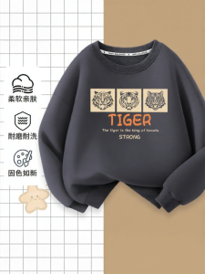 Childrens Spring and Autumn Hoodie Sweater