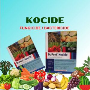 KOCIDE - BACTERICIDE/FUNGICIDE
