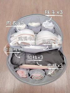 Travel Underwear Storage Bag Portable Bra Pants Organizer Bag for Business Trips And Vacations Suitable for 20-22 Inch Luggage