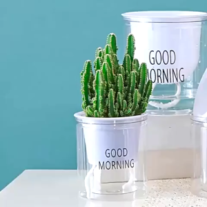 Bình nhựa trồng cây thủy sinh Chậu trồng cây bằng nhựa trong suốt