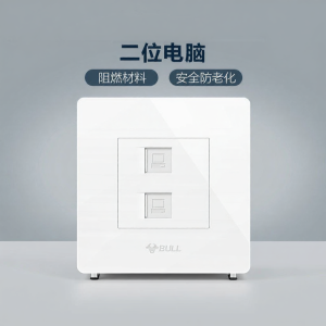 Bull | Dual-Port Computer Network Socket