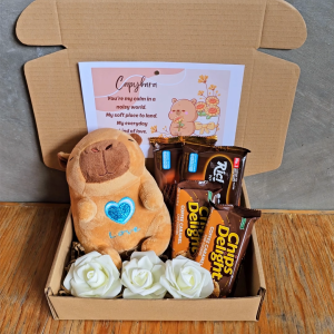 ✨ Capybara Brown Set Treats Snacks Kawaii Valentine Girlfriend Boyfriend Kawaii Plush Holiday Romantic Adorable Ready to Gift