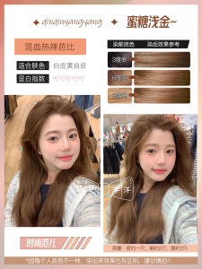 Blue Lotus Color New Release Home Hair Dyeing Paste London Milk Tea Brown Fog Tea Brown Cold Coffee Brown Cherry Red