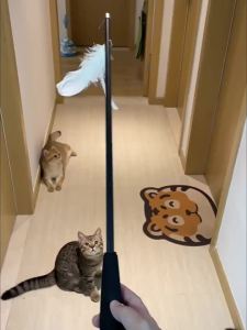7o | Long Extendable Fishing Rod for Kittens with Durable Wire