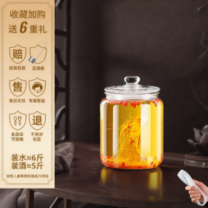 KuaKe | Sealed Glass Wine Jar 10L