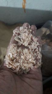 Ikan Asin Udang Rebon Kering Murah 1 KG