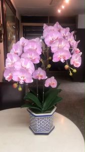 กระถางกล้วยไม้ประดิษฐ์ ดอกไม้ปลอมพร้อมกระถาง