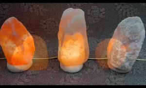 Salt Lamp Bulb 15W - Hi-Quality Bulbs, 3pcs/Set, 15V Voltage