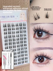 Faiccia | Natural and Full False Eyelashes