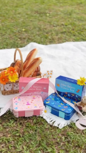 Autumnz Mini Bento Lunch Box | Kids Lunch Box