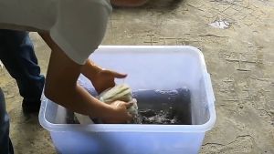 Máy lọc nước UF công suất 3000l/h thế hệ mới có thể tháo giặt bằng tay lọc nước sinh hoạt lọc nước đầu nguồn lọc nước giếng khoan nước nhiễm phèn
