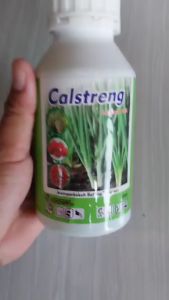 Pupuk Makro Sekunder Calstreng Kalsium 15% 500 ml: Penggunaan & Manfaat