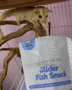 Fish snack Murah Sugar Glider Hamster Tupai import Malaysia