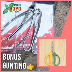 Alat Bonsai Sepaket Ryuga Stenlis isi 3 barang panjang 21 cm