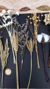 Grosir Bunga Kering Nigella Octagon & Kolase Lagurus Caspea