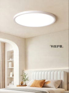 DGY | Ultra-thin Minimalist Ceiling Light For Bedrooms