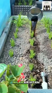 Powerful Soil Activator Root Promoter Soil Restorer Anti-Compaction Loosening Agent for Field Crops Flowers Vegetable Gardens